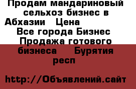 Продам мандариновый сельхоз-бизнес в Абхазии › Цена ­ 1 000 000 - Все города Бизнес » Продажа готового бизнеса   . Бурятия респ.